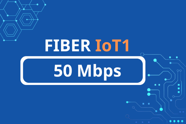 internet-vnpt-fiber-iot1